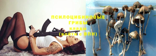 индика Абаза