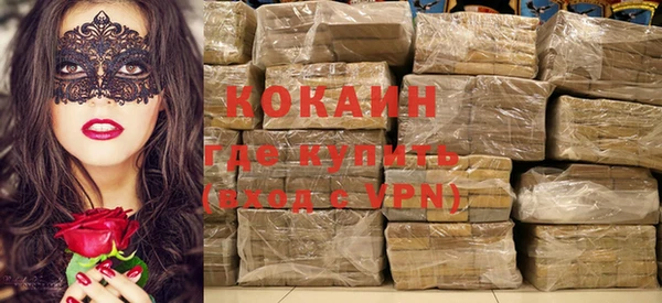 индика Абаза