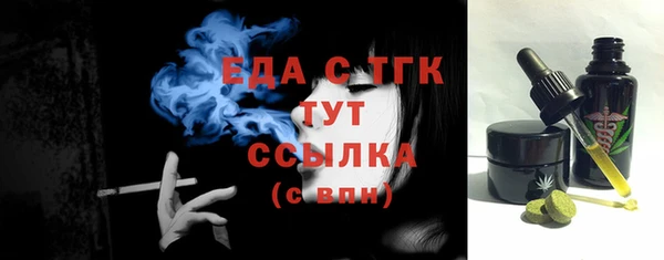 индика Абаза