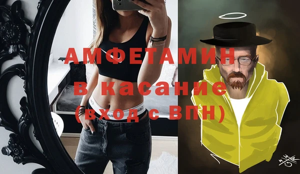 индика Абаза