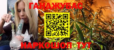 Альфа ПВП Сланцы