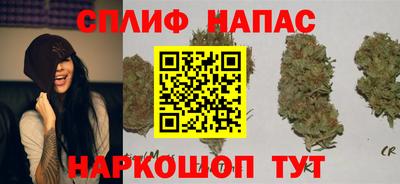 мдпв Славянск-на-Кубани