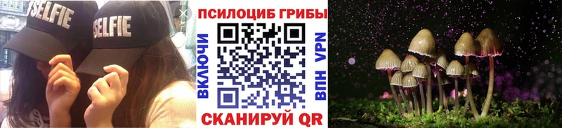 Псилоцибиновые грибы мицелий Челябинск